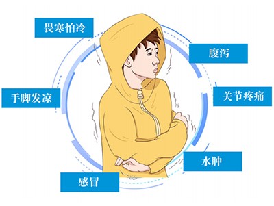 畏寒怕冷的阳虚体质，该如何调理？ - 第1张
